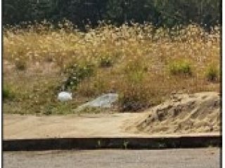 Imagem do imóvel TE44958