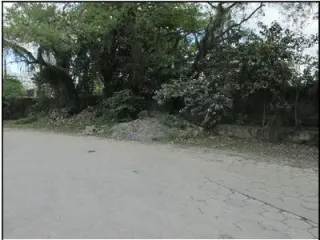 Imagem do imóvel TE07658