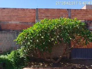 Imagem do imóvel CA56518