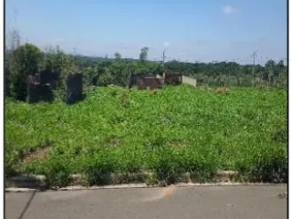 Imagem do imóvel TE11002